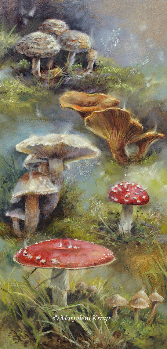'Toadstools & fairy lights', schilderij Marjolein Kruijt