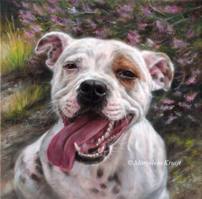 'English Staffordshire Bull Terrier' - Abby, dog portrait painting 30x30cm (commission/sold)ht)