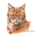 'Rode kat portret', 10x10 cm, Marjolein Kruijt (verkocht/opdracht)