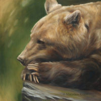 'Inner thoughts', Brown bear, 80x80 cm, oil painting (for sale)