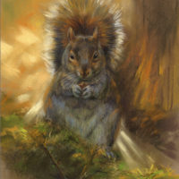 'Squirrel autumn lit', 22x29 cm, pastel painting (for sale)