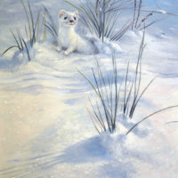 'Stoat in winter', 22x30 cm, oil painting (for sale)