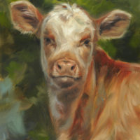 'Calf', 24x18cm, oil painting (for sale)