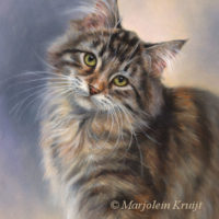 'Lilly'-Maine coon, 24x18 cm, oil (sold/commission)