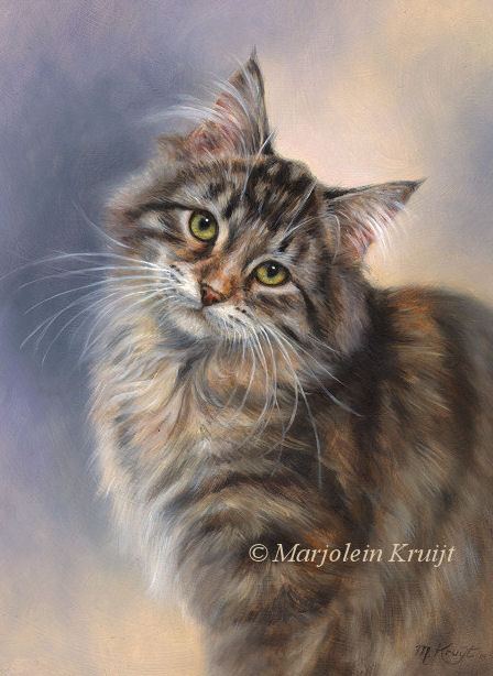 'Lilly'-Maine coon, 24x18 cm, oil (sold/commission)