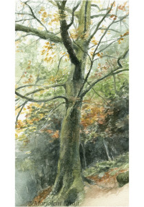 'Tree', 27x15 cm, watercolor painting (for sale)