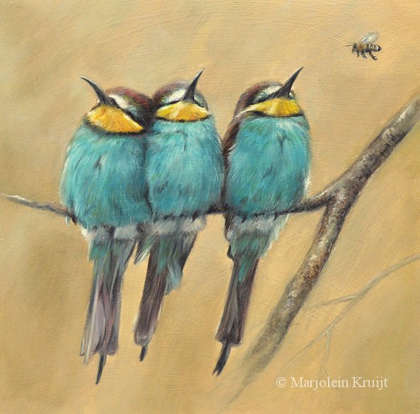 'The challenger'-Bee-eaters, 20x20 cm, oil painting (sold)