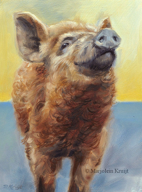 'Wool pig', curly pig 15x20 cm, oil painting (for sale)
