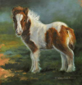 'Mini shetland foal', 25x25 cm, oil paint (sold)