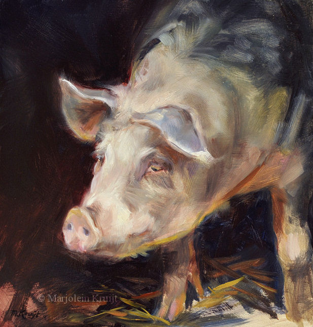'Pig', 20x20 cm, oil painting (for sale)