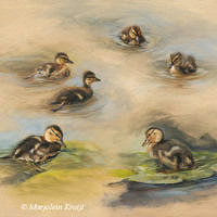 'Ducklings studies', 60x50 cm, oil painting (for sale see webshop)