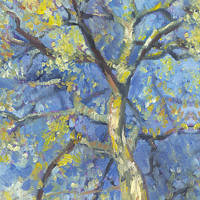 'Birch', 18x24 cm, oil painting (sold)