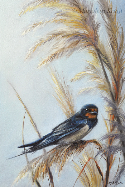 'Barn swallow', 20x30 cm, oil painting (sold)