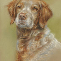 'Breto'- portrait, 20x30 cm, pastel painting (sold/commission)