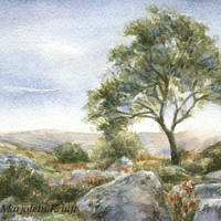 'Dartmoor tree', 13x11 cm, watercolor painting (nfs)