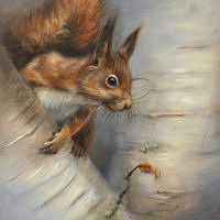 'Squirrel', 18x24 cm, oil painting (sold)