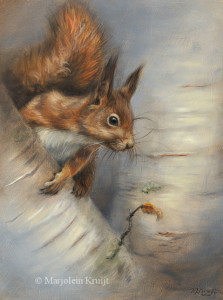 'Squirrel', 18x24 cm, oil painting (sold)
