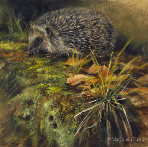 'Hedgehog', 20x20 cm, oil painting (sold)
