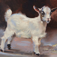 'Little goat', 18x24 cm, oil painting (for sale)