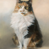'Winnie'- cat portrait, 30x40 cm, oil painting (sold/commission)