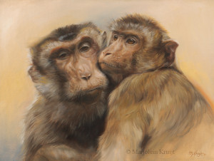 'Best friends'-Rhesus macaques, 40x30 cm, oil (for sale)