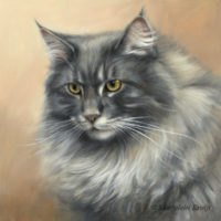 'Maine coon'-Carlos, 30x30 cm, oil painting (sold/commission)