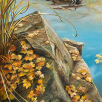 'Golden Autumn'-Mandarin duck, 40x60 cm, oil (for sale)