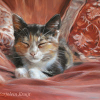 'Misu' - kitten, 18x13 cm, oil painting (sold)