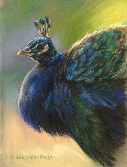'Peacock', 24x34 cm, pastel painting (sold)