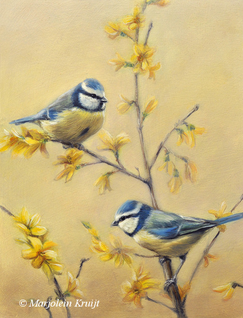 'Blue tits', 24x18 cm, oil painting (sold)