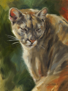 'Puma', 15x20 cm, oil painting (for sale)