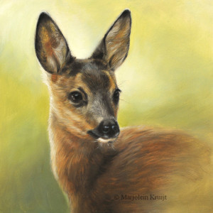 'Young Roe deer', 25x25 cm, oil painting (sold)