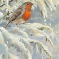 'Robin in the snow', 15x20 cm, oil painting (sold)