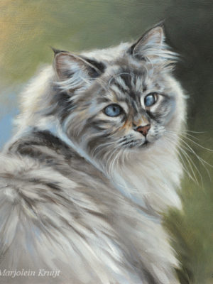 'Siberian cat'-cross eyed Luna, 30x30 cm, oil (sold/commission)