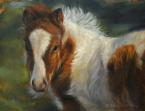 'Miniature shetland pony foal', 24x18 cm, oil painting (NFS)