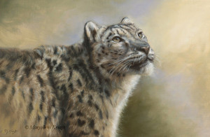 'Snowleopard', 60x40 cm, oil painting (NFS)