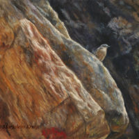 'On the lookout'- Northern wheatear, 60x40 cm, oil (sold)
