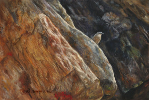 'On the lookout'- Northern wheatear, 60x40 cm, oil (sold)