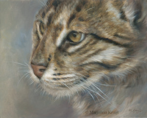 'Fishing cat', 30x24 cm, oil painting (for sale)