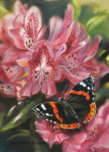'Red Admiral', 13x18 cm, oil painting (sold)