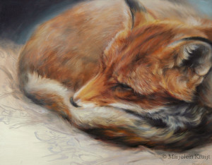 'Sleeping fox', 30x24 cm, oil painting (sold)