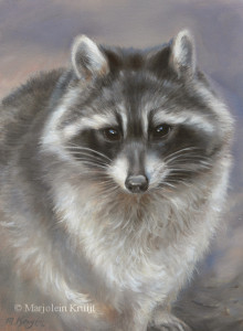 'Raccoon', 24x18cm, oil painting (sold)
