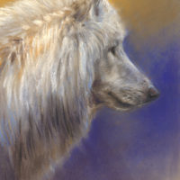 'White wolf', 20x30 cm, pastel painting (for sale)