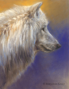'White wolf', 20x30 cm, pastel painting (for sale)