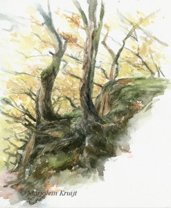 'Trees on rocks' -Yorkshire, 30 x 35 cm, watercolor