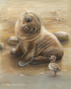 'Hi!'-sea lion and tern baby, 20x23 cm, pastel (sold)