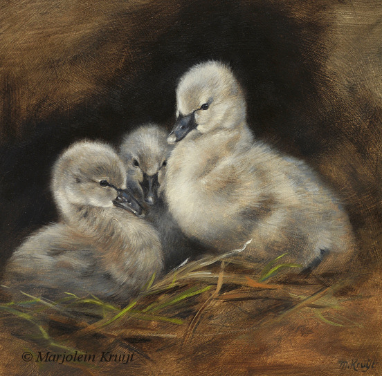 'Black cygnets', 20x20 cm, oil painting (for sale)
