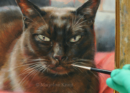 Portrait of burmese cat by feline artist Marjolein Kruijt