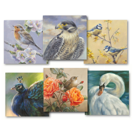 art cards of birds by wildlife artist Marjolein Kruijt