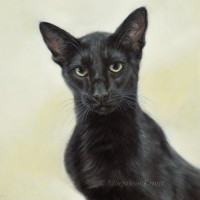 'Siamese'- cat portrait, 30x30 cm, oil painting (sold/commission)